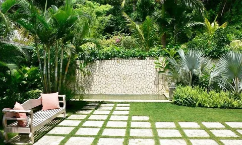 Tropical Gardens Landscape